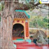 [KÍCH CẦU DU LỊCH] Combo du lịch Côn Đảo 3N2D: Vé MB khứ hồi từ Hà Nội + Q Song Chi Hotel
