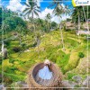 Du lịch Bali 5 ngày 4 đêm giá tốt từ Hà Nội năm 2024 