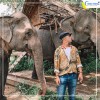 Tour du lịch Buôn Ma Thuật - Pleiku - Kontum từ Hà Nội  4 ngày năm 2021