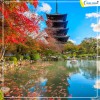 Du Lịch Nhật Bản: Hà Nội - Tokyo - Núi Phú Sĩ - Nagoya - Kyoto - Osaka 6 Ngày 5 đêm