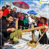 Tour du lịch Mù Cang Chải - Tú Lệ 2N1D giá tốt từ Hà Nội năm 2021